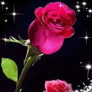 Meet your Posher, Maggy